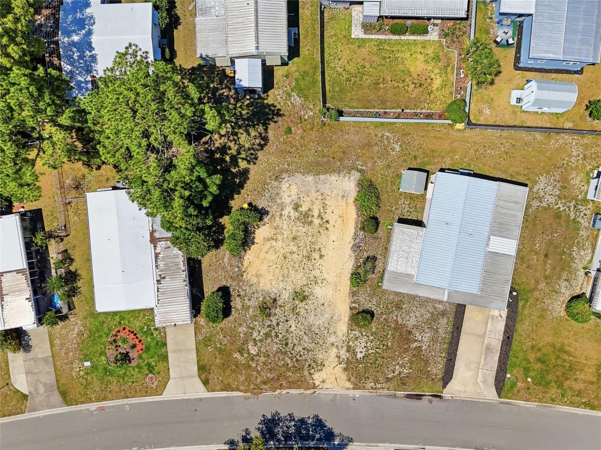 1223 Nassau Cir, Tavares, photo 3